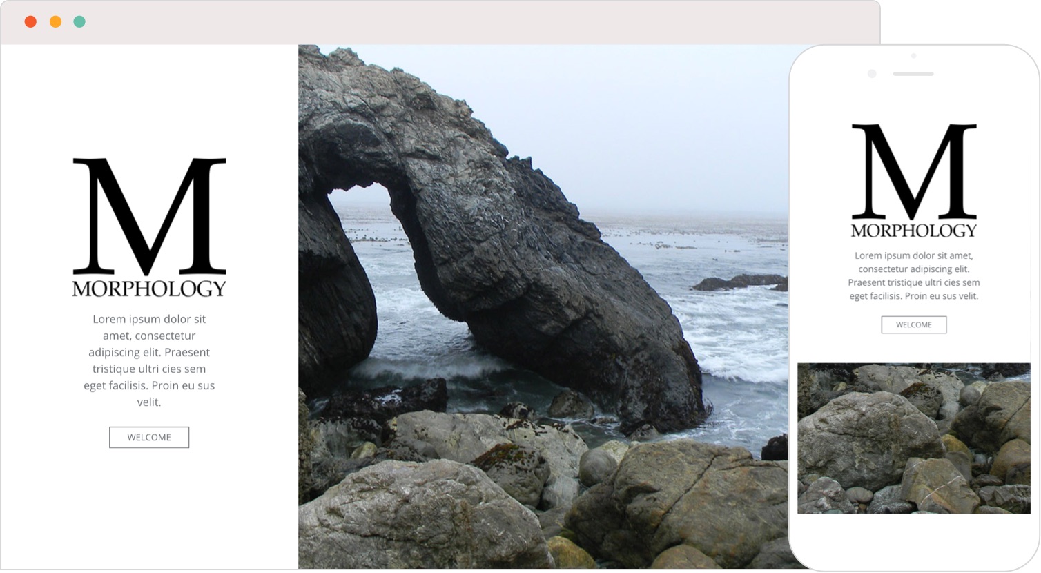 Morphology - A portfolio theme for creatives and photographers