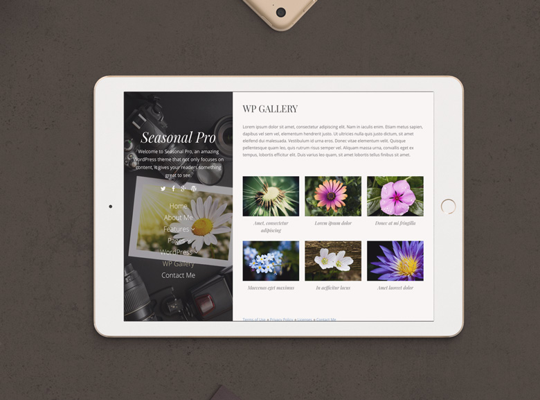 Longevity - A multipurpose theme